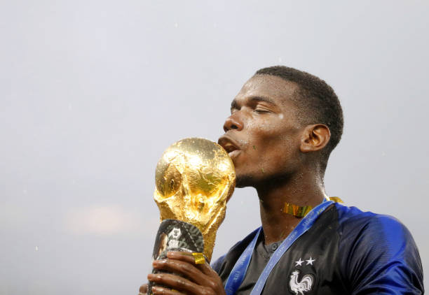 还培养了一 还培养了一