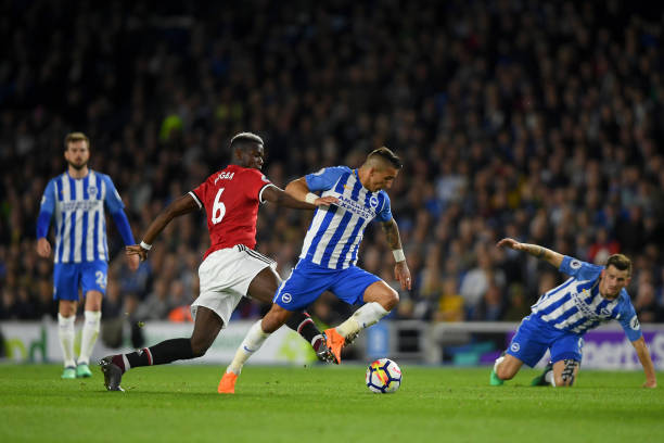 他们的阵容 他们的阵容