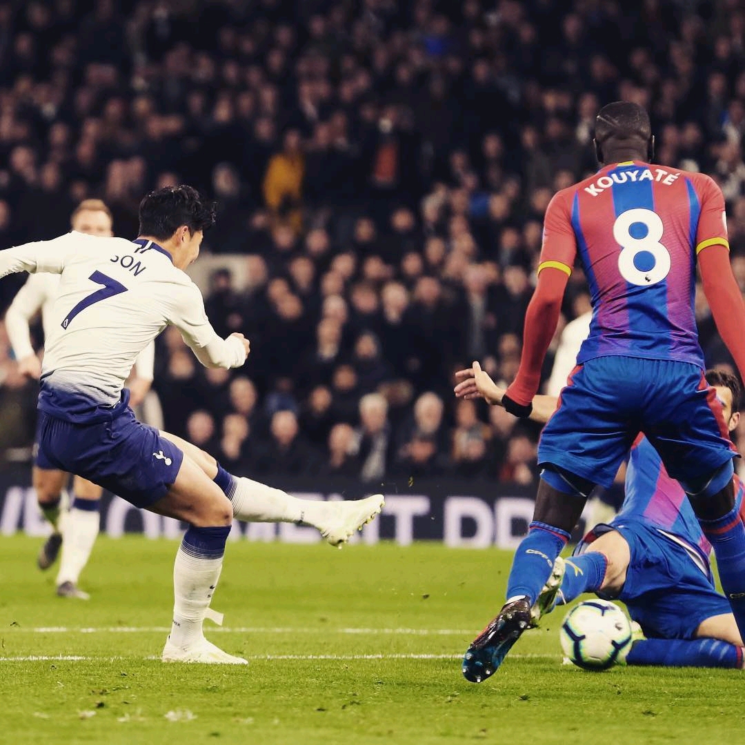 黑马形象 黑马形象